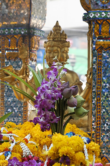 03-Bangkok-Erawan Shrine-Wat Arun-0017